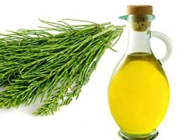 از روغن دم اسب و خواص جالب آن چه می دانید؟