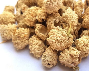 درمان سرفه و گرفتگی صدا با شکرتیغال