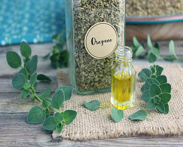 خرید روغن پونه کوهی معطر پرخاصیت