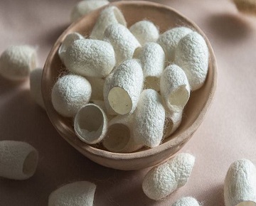 پیله ابریشم و خواص آن در سلامت و زیبایی پوست