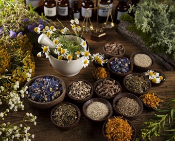 آشنایی با گیاهان دارویی قاعده آور و تنظیم کننده قاعدگی