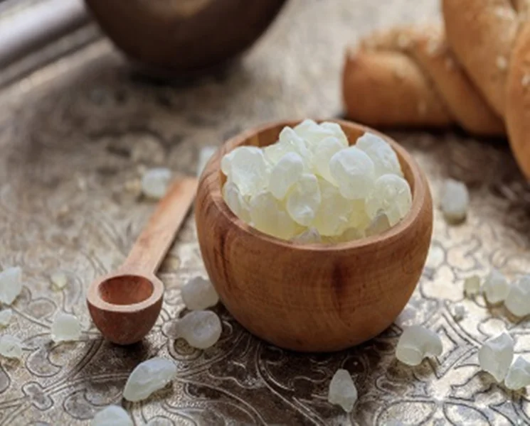 خرید مصطکی؛ صمغ گیاه مصطکی رومی