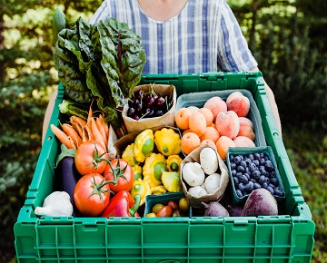 محصولات ارگانیک، طعم زندگی سالم